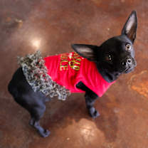 Thumbnail photo of Neytiri #2