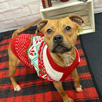 Thumbnail photo of Wendy #1