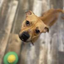 Thumbnail photo of Wendy #3