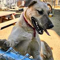 Thumbnail photo of GILLIAN #3