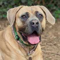 Thumbnail photo of Queen #2