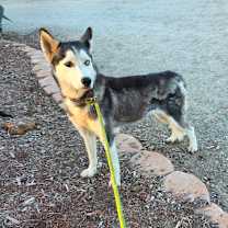 Thumbnail photo of Flair JuM #2