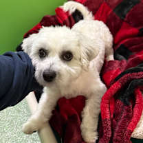 Thumbnail photo of Jeremy #1