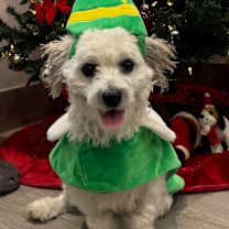 Thumbnail photo of Jeremy #2