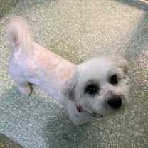 Thumbnail photo of Jeremy #3