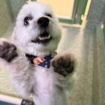 Thumbnail photo of Jeremy #4