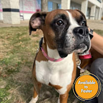 Thumbnail photo of Babs #1