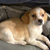 Thumbnail photo of Ga-Linda #4