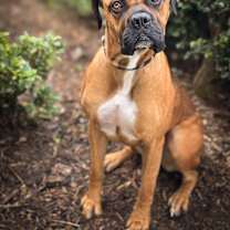 Thumbnail photo of Frieda #4