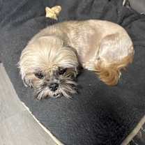 Thumbnail photo of Judy Tucker #4