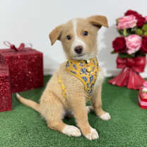 Thumbnail photo of Micky #3