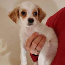 Thumbnail photo of Fred #3