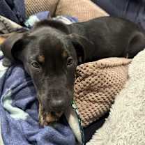 Thumbnail photo of Bair #1