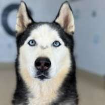 Thumbnail photo of Rio #2