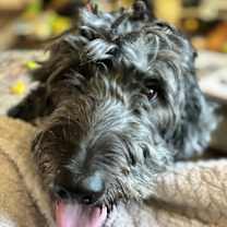 Thumbnail photo of Delta #3