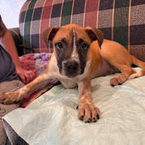 Thumbnail photo of Harry #1