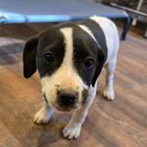 Thumbnail photo of Meryl Streep #4