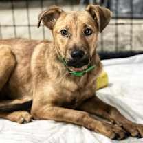 Thumbnail photo of Frank #1