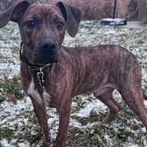 Thumbnail photo of Murray #1