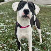 Thumbnail photo of Zora #1