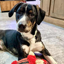 Thumbnail photo of Royce K #3