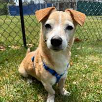 Thumbnail photo of Henry #2