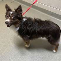 Thumbnail photo of Arthas #2