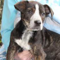 Thumbnail photo of Lilith 42914 #3