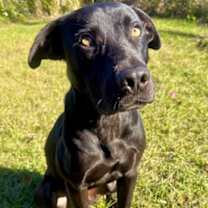 Thumbnail photo of Riley #2