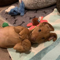 Thumbnail photo of Magda #2