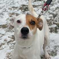 Thumbnail photo of Bing #2