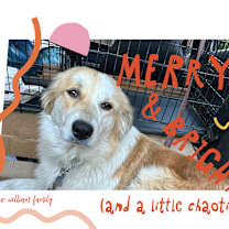 Thumbnail photo of Bonnie1 #1