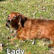 Thumbnail photo of Lady #3