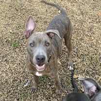 Thumbnail photo of Lexi #3