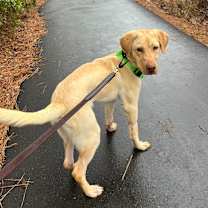 Thumbnail photo of Reece Richmond #1