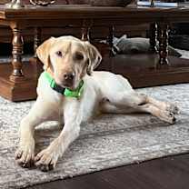 Thumbnail photo of Reece Richmond #4