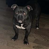 Thumbnail photo of Ghostie #2