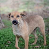 Thumbnail photo of Caden #2