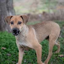 Thumbnail photo of Caden #3