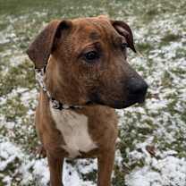 Thumbnail photo of Marlow #2