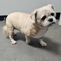 Thumbnail photo of Belle #3