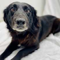 Thumbnail photo of Coal #2