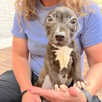 Thumbnail photo of Crawfish #3