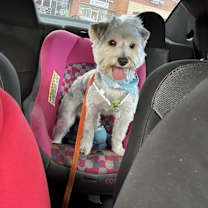 Thumbnail photo of Blade #2