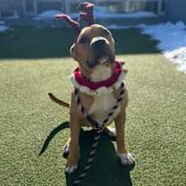 Thumbnail photo of Howard #1