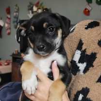 Thumbnail photo of Andi - Affectionate Girl #1