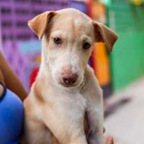 Thumbnail photo of Junior #1