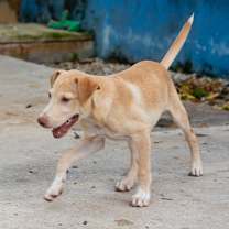 Thumbnail photo of Junior #2