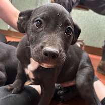 Thumbnail photo of Garrett #2