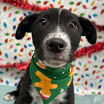 Thumbnail photo of Grant #3